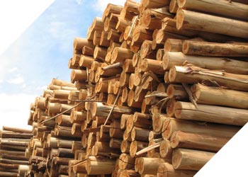 Solutions industrielles Industrie du bois